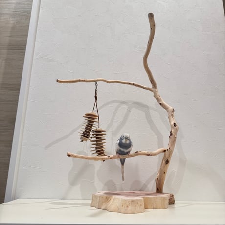 貝塚伊吹のスタンドパーチ 【自然木 とまり木 セキセイインコ・ウロコインコ・オカメインコ】