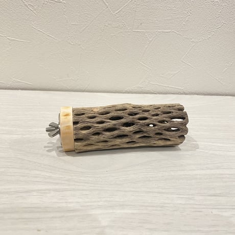 カクタスパーチ【8】 小直径3.5cm/10cm