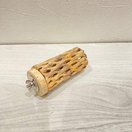 カクタスパーチ【5】直径4~5cm/長さ10cm