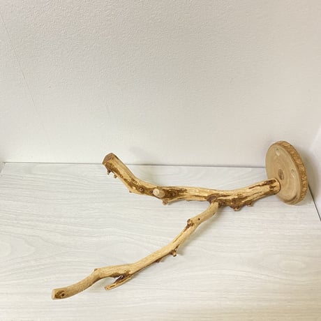 ピノキオの鼻④