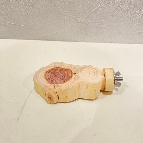 貝塚伊吹テーブルパーチ  ⑦