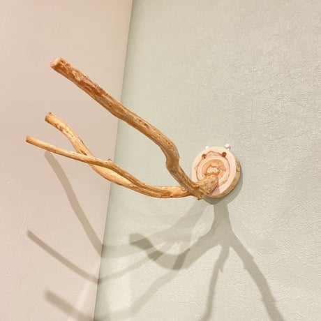 ピノキオの鼻 ①  中型から大型用
