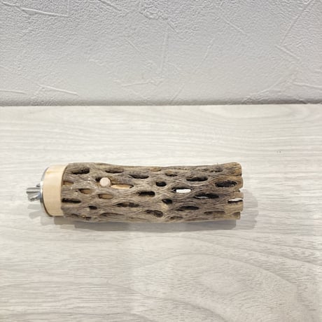 カクタスパーチ極小⑦直径約2~3cm 長さ10cm
