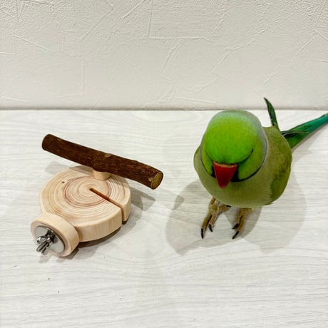 すみっこおやすみパーチ② 丸太直径8cm