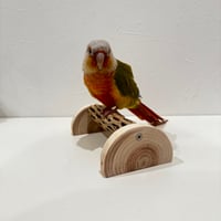 幼鳥・老鳥・介護サポート用　置き型カクタスパーチ① 全長16.5cm/カクタス長さ14cm
