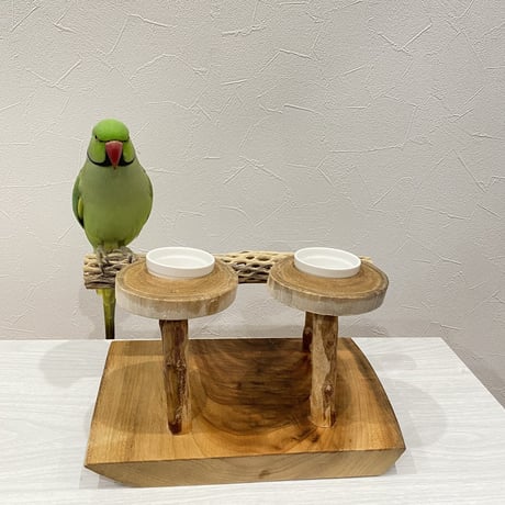 カクタスのスタンドパーチ　おやつ入れ付き パーチ長さ30cm