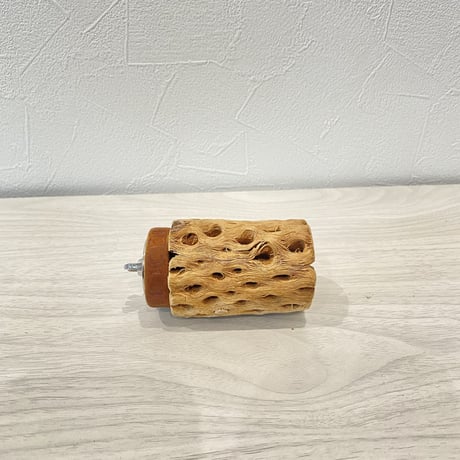 カクタスパーチ① 中サイズ直径5.5cm/7cm