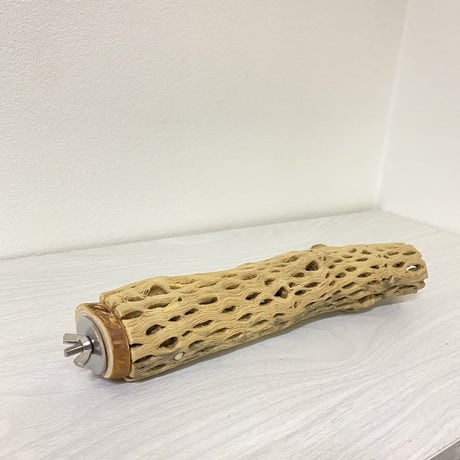 カクタスパーチ⑧ 中サイズ 直径（約5.5cm）長さ/23cm