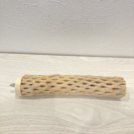 カクタスパーチ14  小　直径4cm前後 長さ20cm