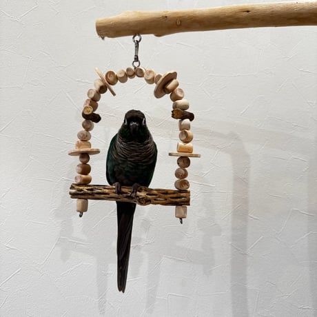 小型さん用カクタスと天然ウッドビーズのブランコ④【インコ おもちゃ サボテンの骨】