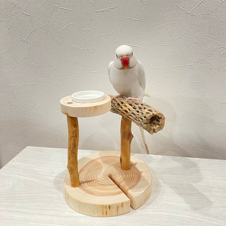 おやつ入れ付きカクタススタンドパーチ②