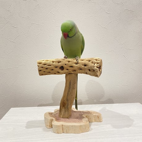 大型さん用カクタスのスタンドパーチ①　パーチ長さ20cm／高さ20cm