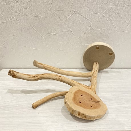 ピノキオの鼻 ①  貝塚伊吹