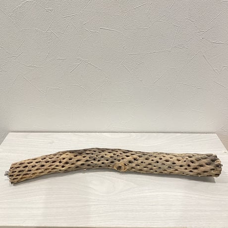 ケージサイズカクタスパーチ②  小直径3〜4cm HOEI465