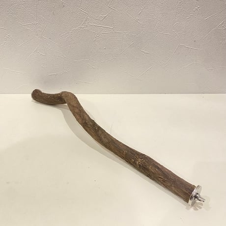 殿様パーチ（自然木ツタ） HOEI465サイズ