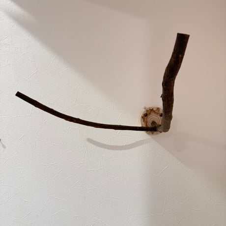 ツタのピノキオの鼻【A】