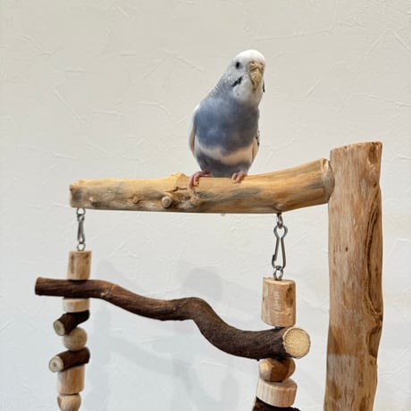 【小型・中型向け】梯子とハイジのブランコ【インコのおもちゃ・自然木のとまり木】