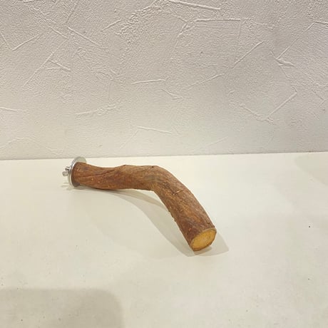 自然木（ツタ）パーチ①  直径約2.1cm/長さ15cm