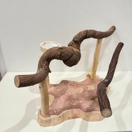 ゴツゴツワイルドなツタのスタンドパーチ