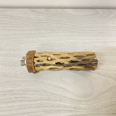 カクタスパーチ④ 極小サイズ 直径（約2-3cm）長さ/10cm