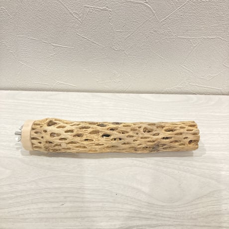 カクタスパーチ小㉔ 直径約3~4cm 長さ20cm