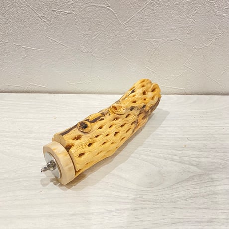 カクタスパーチ【24】直径4~5cm/長さ17cm