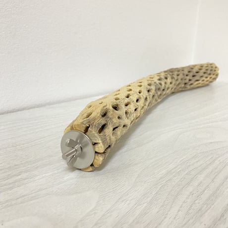ケージサイズカクタスパーチ② 小サイズ直径4cm HOEI465サイズ