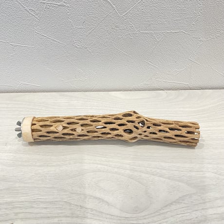 【I様専用】カクタスパーチ　極小20cm