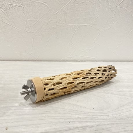 カクタスパーチ⑩ 極小直径約2-3cm/15cm