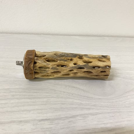 カクタスパーチ③ 極小サイズ 直径（約2-3cm）長さ/10cm
