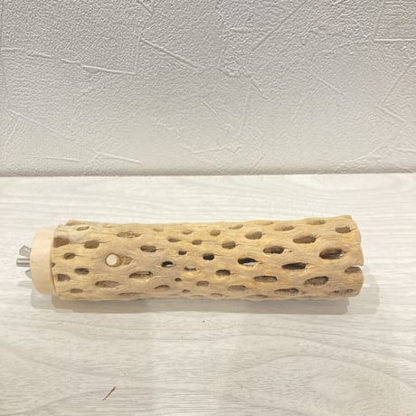 カクタスパーチ小⑰ 直径約3~4cm 長さ15cm