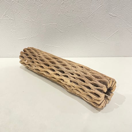 カクタスパーチ(U) 直径約5cm/長さ22cm