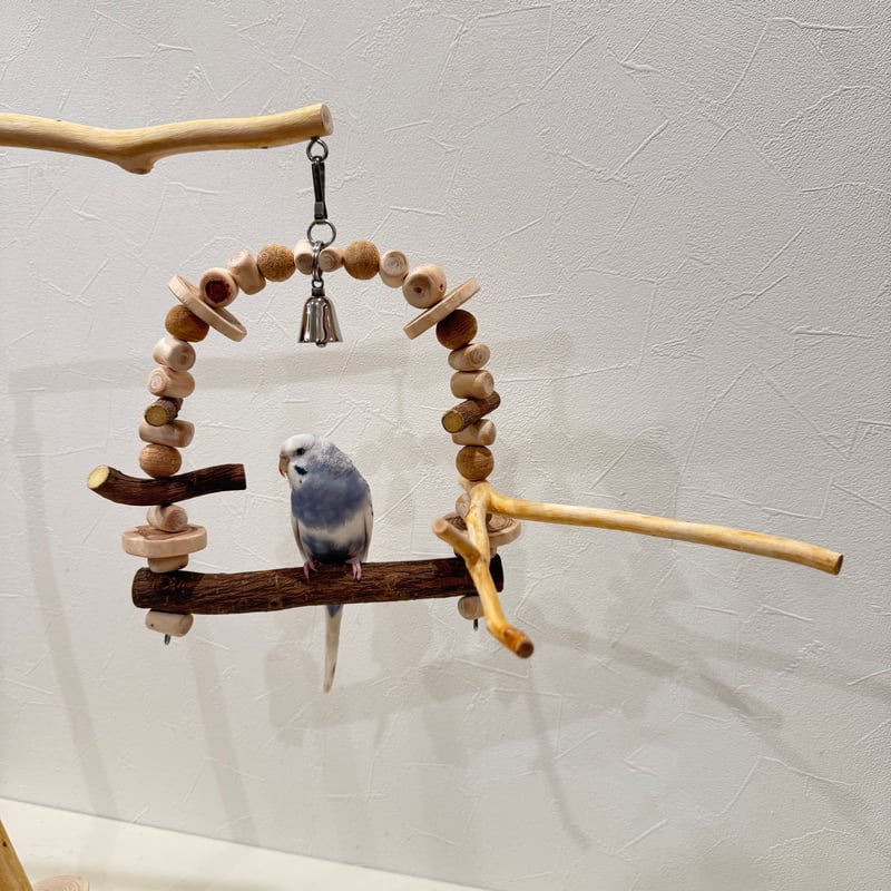 ツタとステンレスベルのパーチブランコ① 【インコ・小鳥の