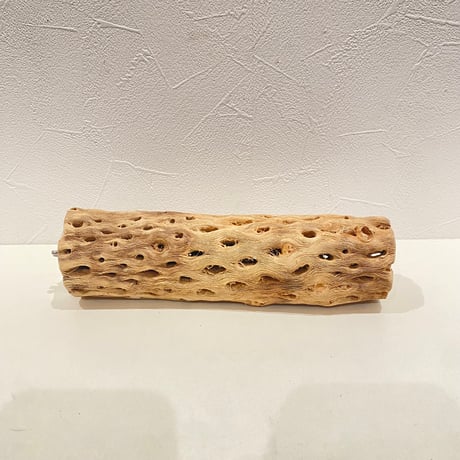 カクタスパーチ | STORES