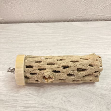 カクタスパーチ【A】小　直径3.5cm前後 長さ10cm