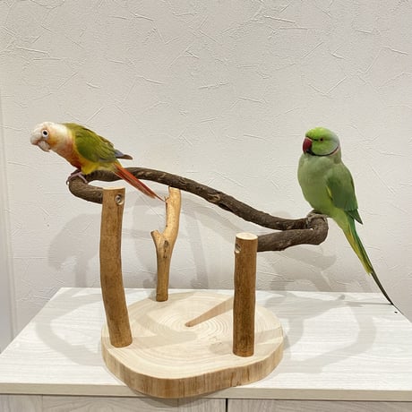 ツタのぴーちくぱーちスタンド①