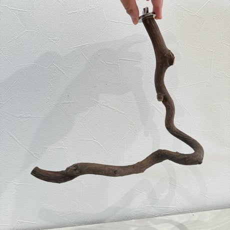 自然木（ツタ）L型パーチ　縦20cm/横23.5cm