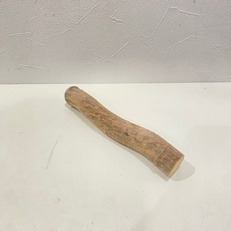 自然木（ツタ）パーチ 直径約2.7cm/長さ20cm