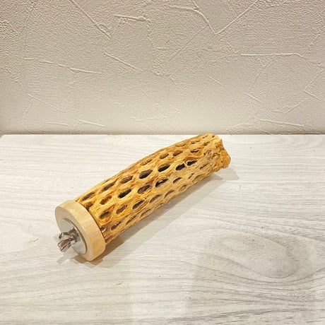カクタスパーチ【21】直径4~5cm/長さ15cm