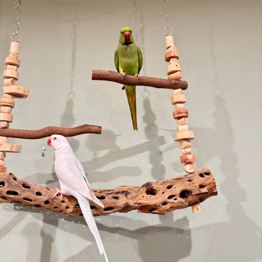 68ac246077cfb73c47d87240