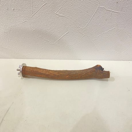自然木（ツタ）パーチ ⑫ 直径約2cm/長さ18cm