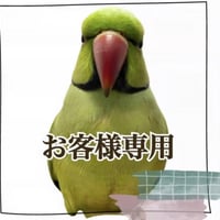 【anz様専用】パーツ取り替え式 大きなハイジのカクタスブランコ