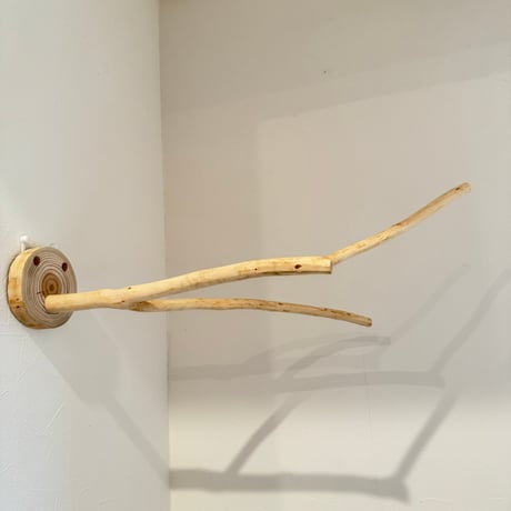 桧のピノキオの鼻 ⑦