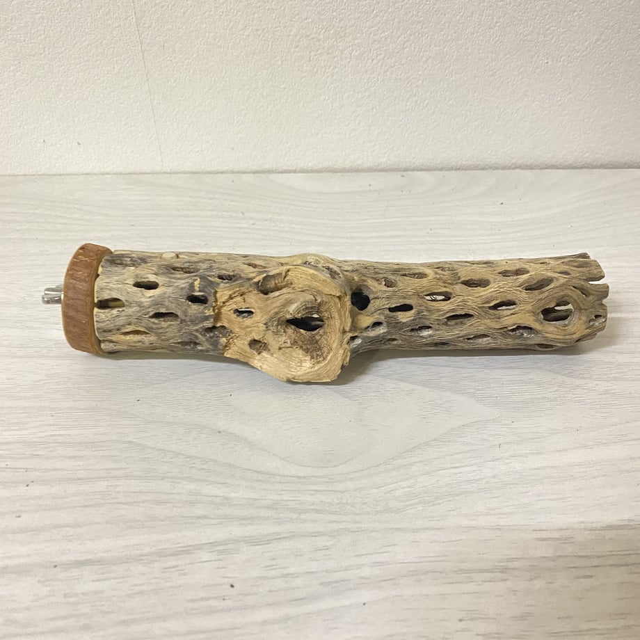 62048166e3bbd134f969edc5