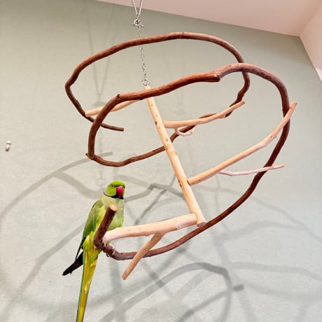【M様専用】コトリのなる木ミニ【自然木 インコ 止まり木 おもちゃ】