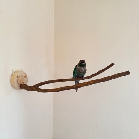 アイテム | 自然木の鳥用品 鳥豆堂【トリマメドウ】バードアスレチック