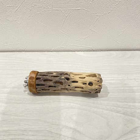 カクタスパーチ①  極小直径2-3cm/10cm