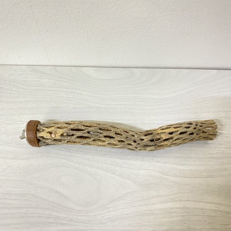 【小型さん用】カクタスパーチ⑦ 極小 直径2-3cm／長さ23cm