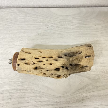 カクタスパーチ③ 中サイズ 直径（約5.5cm）長さ/13.5cm