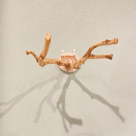 ピノキオの鼻 ①